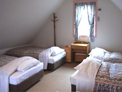 �R�e�[�W2�K�̐Q��