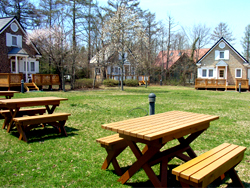 �o�[�x�L���[���y���߂�K�[�f��